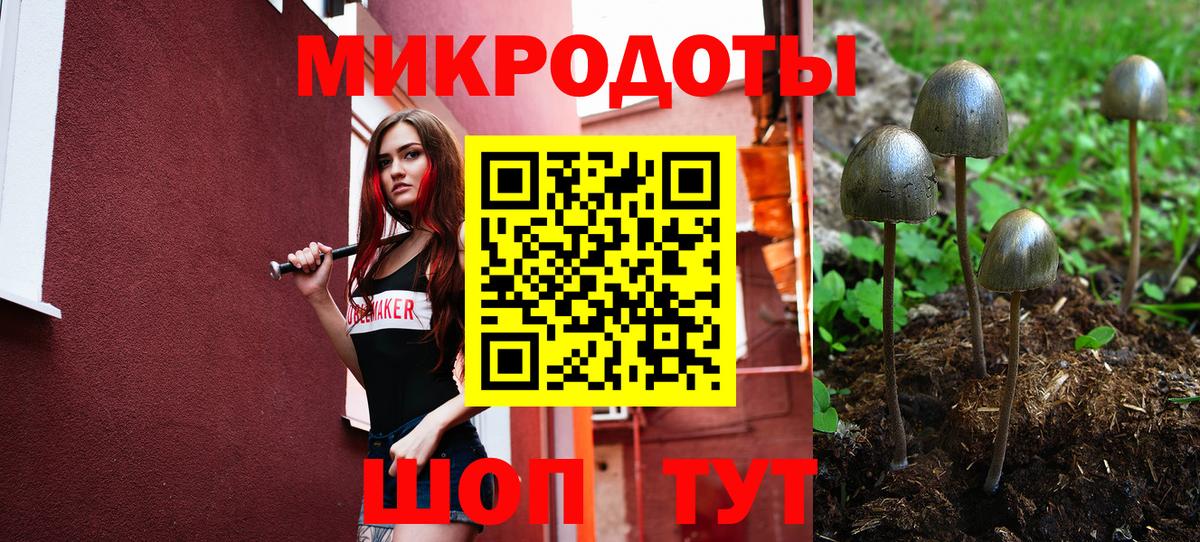 Галлюциногенные грибы прущие грибы Архангельск