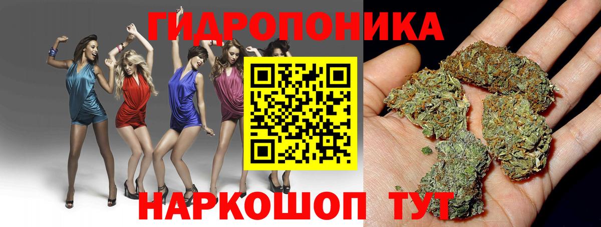Марихуана Ganja  Архангельск  Конопля марихуана  Шишки марихуана OG Kush 
